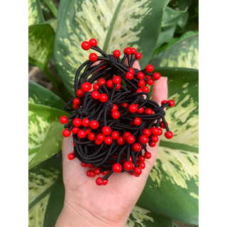 DÂY CỘT TÓC CHERRY ĐỎ DỄ THƯƠNG