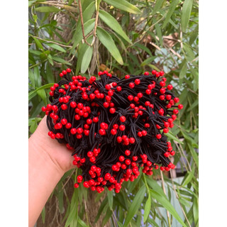 DÂY CỘT TÓC CHERRY ĐỎ DỄ THƯƠNG