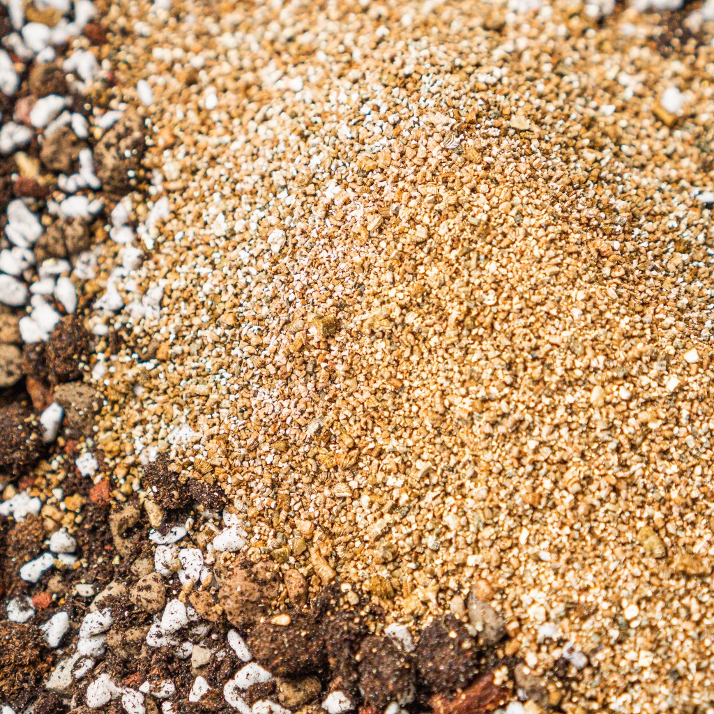 Đá Vermiculite - Giàu vi chất hiếm, giúp sen đá nhanh lên màu, ươm mầm rau | Joy Garden