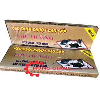 Keo dính chuột siêu dính cao cấp, diệt chuột mọi nơi