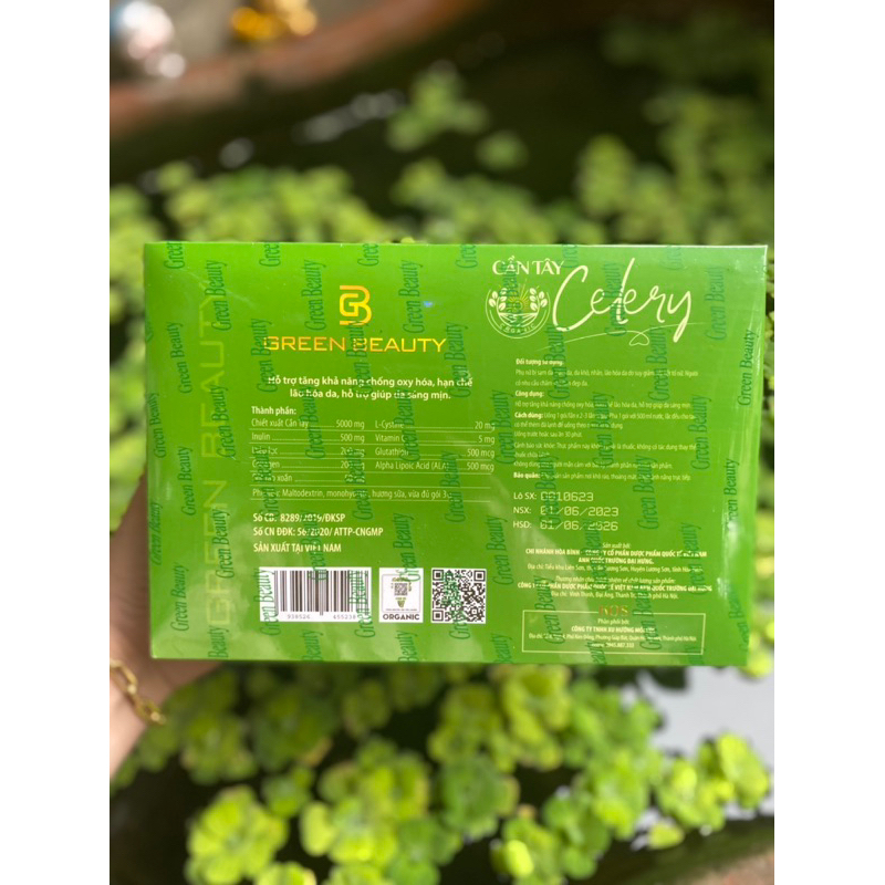 Cần Tây Green Beauty Mẫu mới
