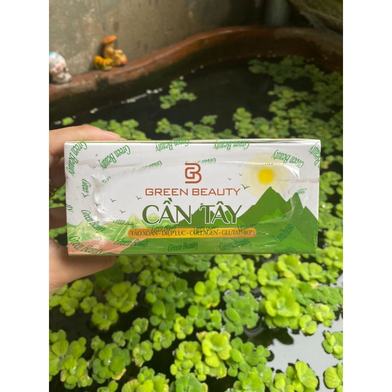 Cần Tây Green Beauty Mẫu mới