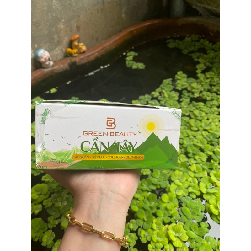 Cần Tây Green Beauty Mẫu mới