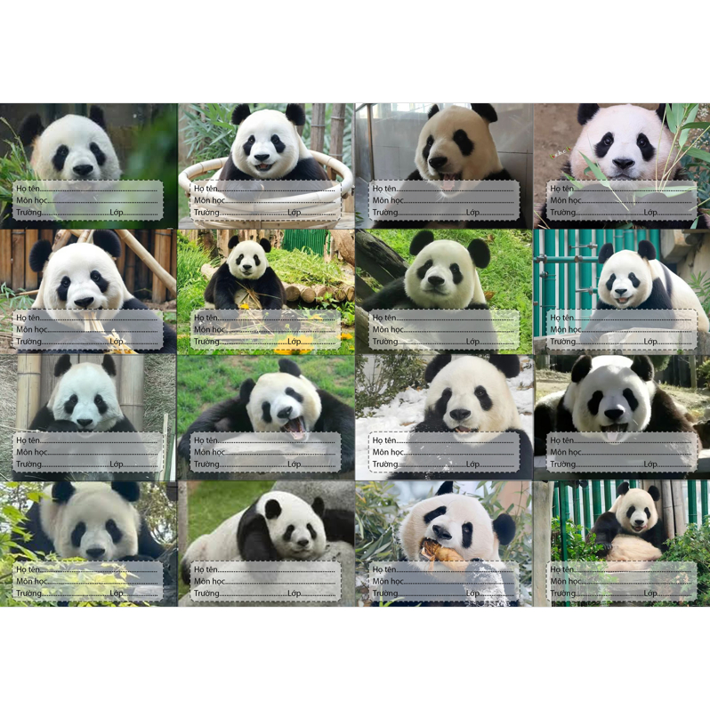 Nhãn vở Gấu trúc manh lan hoa hoa phúc bảo thất tử phi vân Pandabiz NV75 hoạt hình set 16 chiếc có keo dán sẵn