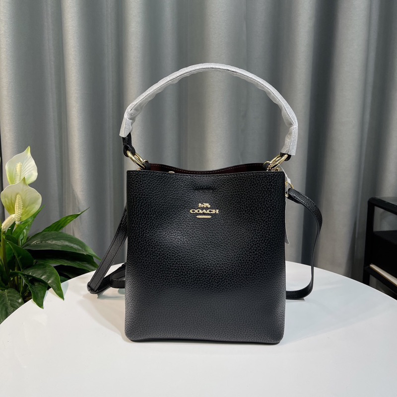 Túi Coach small town bucket