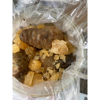 Nhàu tươi đường phèn