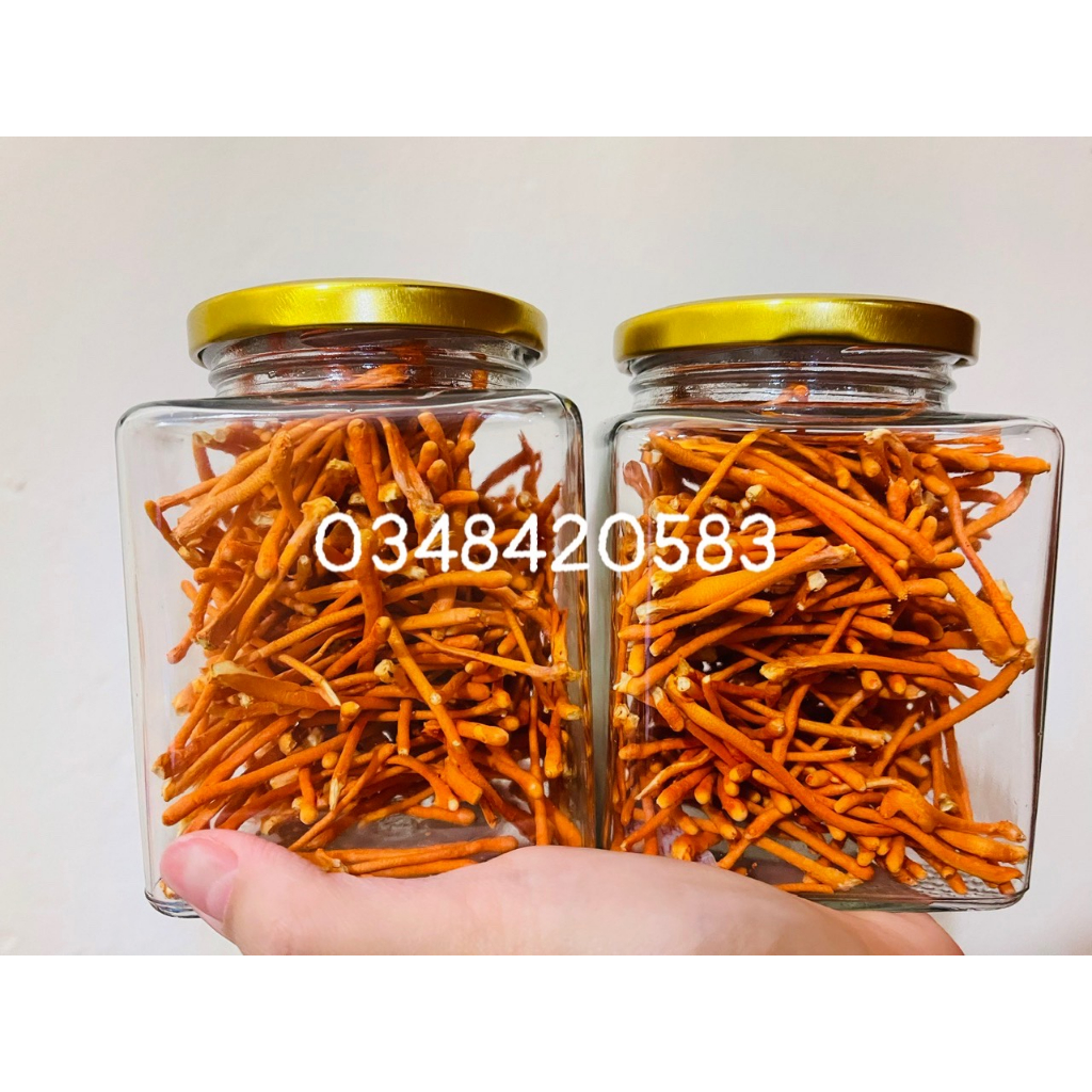Sợi gãy đông trùng hạ thảo sấy thăng hoa