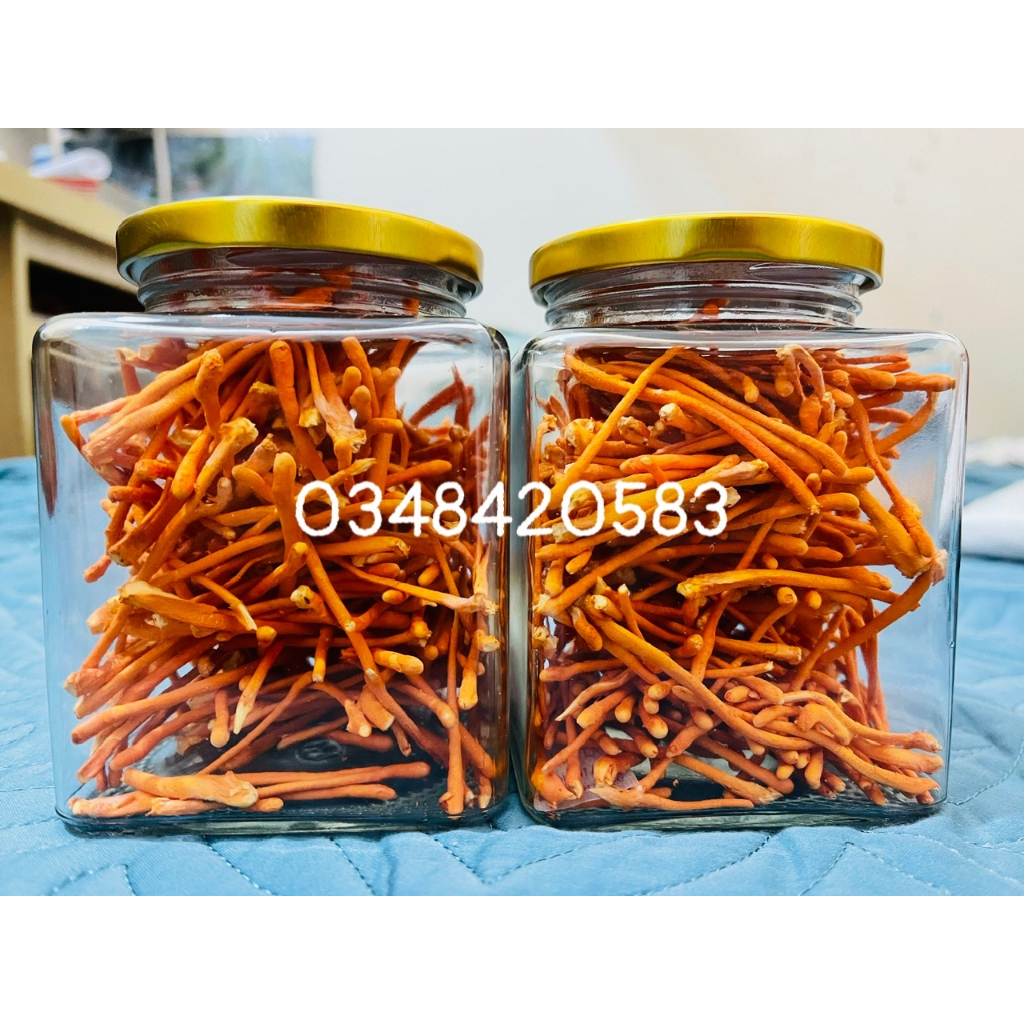 Sợi gãy đông trùng hạ thảo sấy thăng hoa