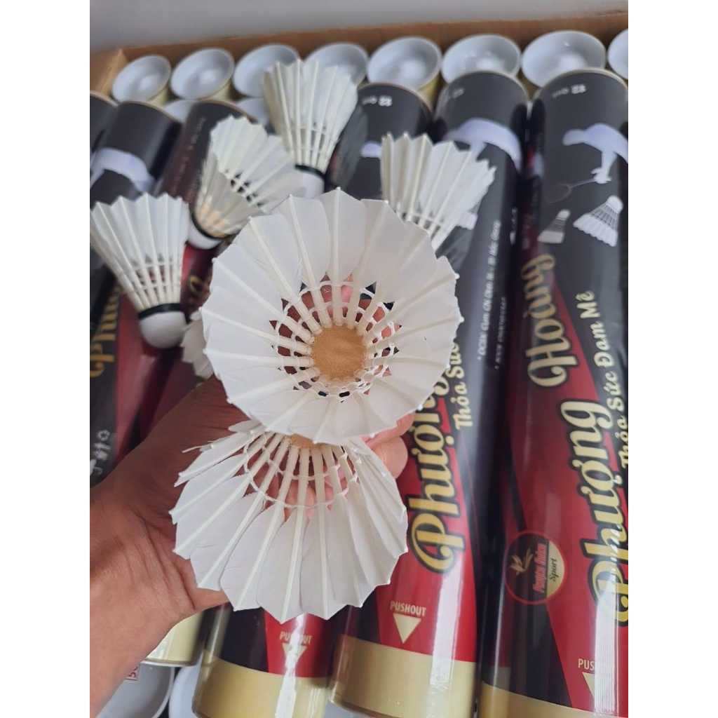 10 quả cầu lông giá sỉ