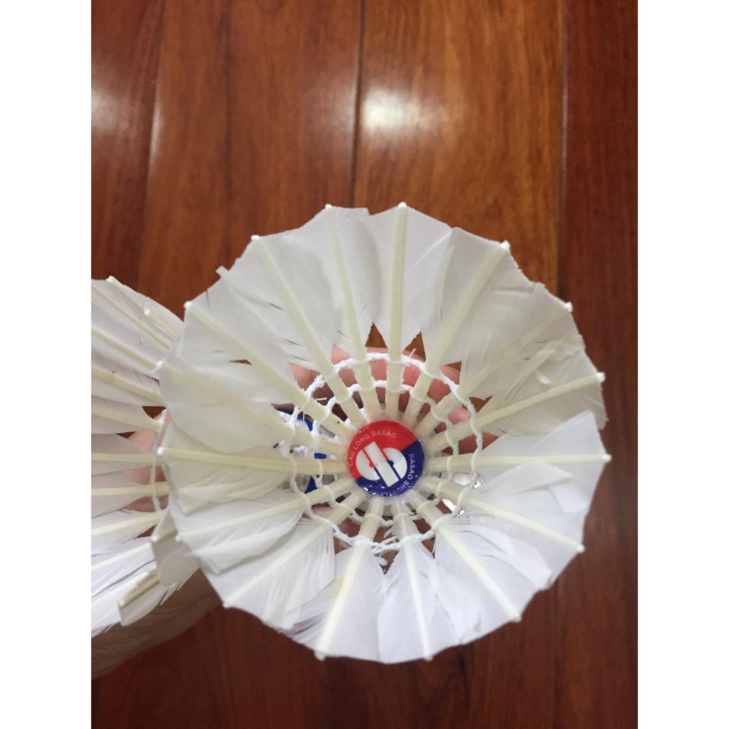 10 quả cầu lông giá sỉ