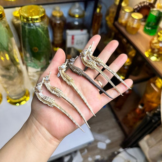 cá ngựa khô(10con)