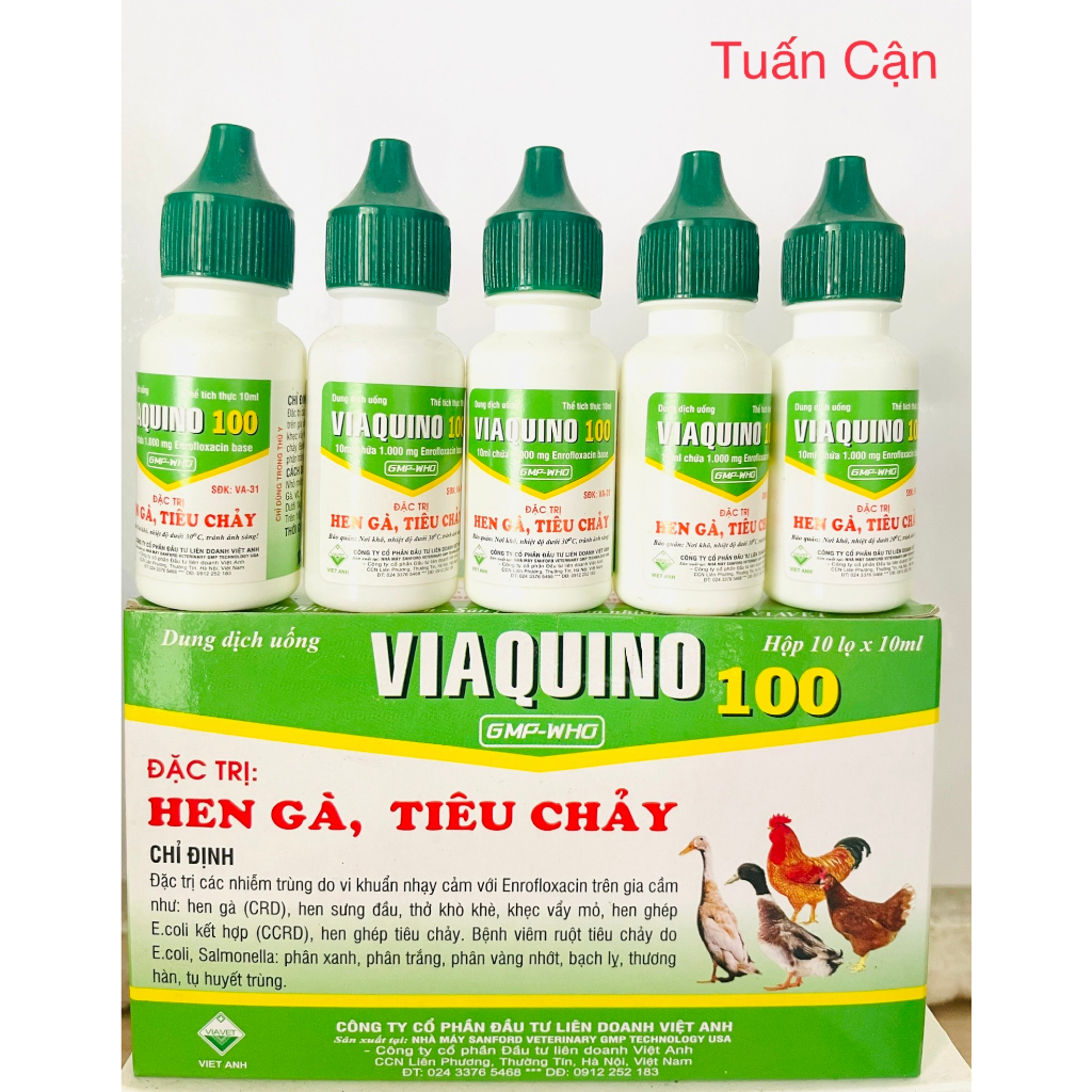 Combo 5lọ Viaquino Heen ga, tieu chay phan xanh, phan trắng