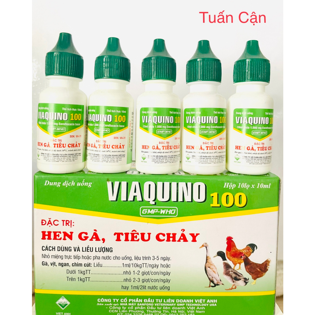 Combo 5lọ Viaquino Heen ga, tieu chay phan xanh, phan trắng