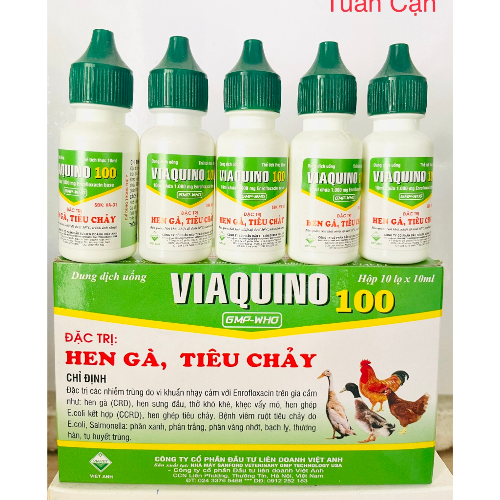 Combo 5lọ Viaquino Heen ga, tieu chay phan xanh, phan trắng