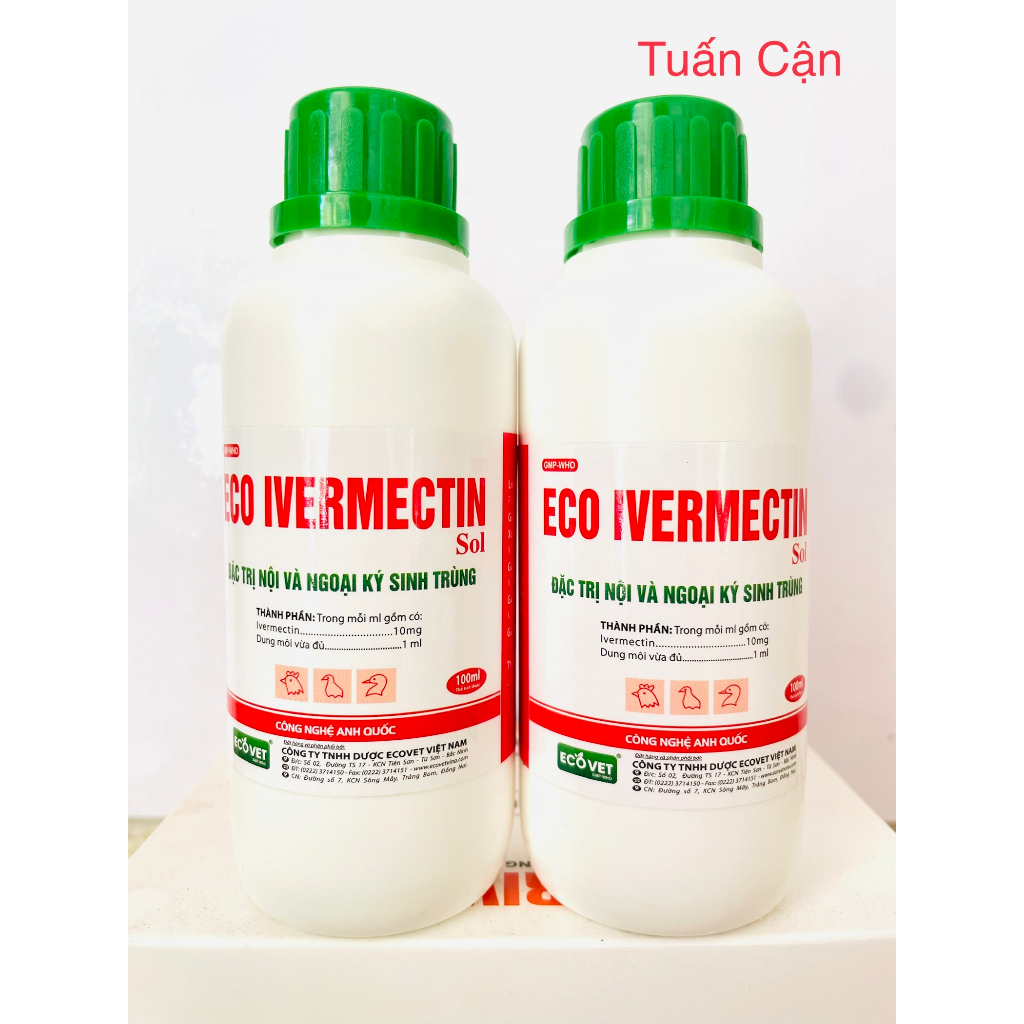 Eco Ivermectin Ve, ghẻ, giận, giiun moc, giiiuun tóc, giuuun kim sản phảm cong ty Toàn Thắng