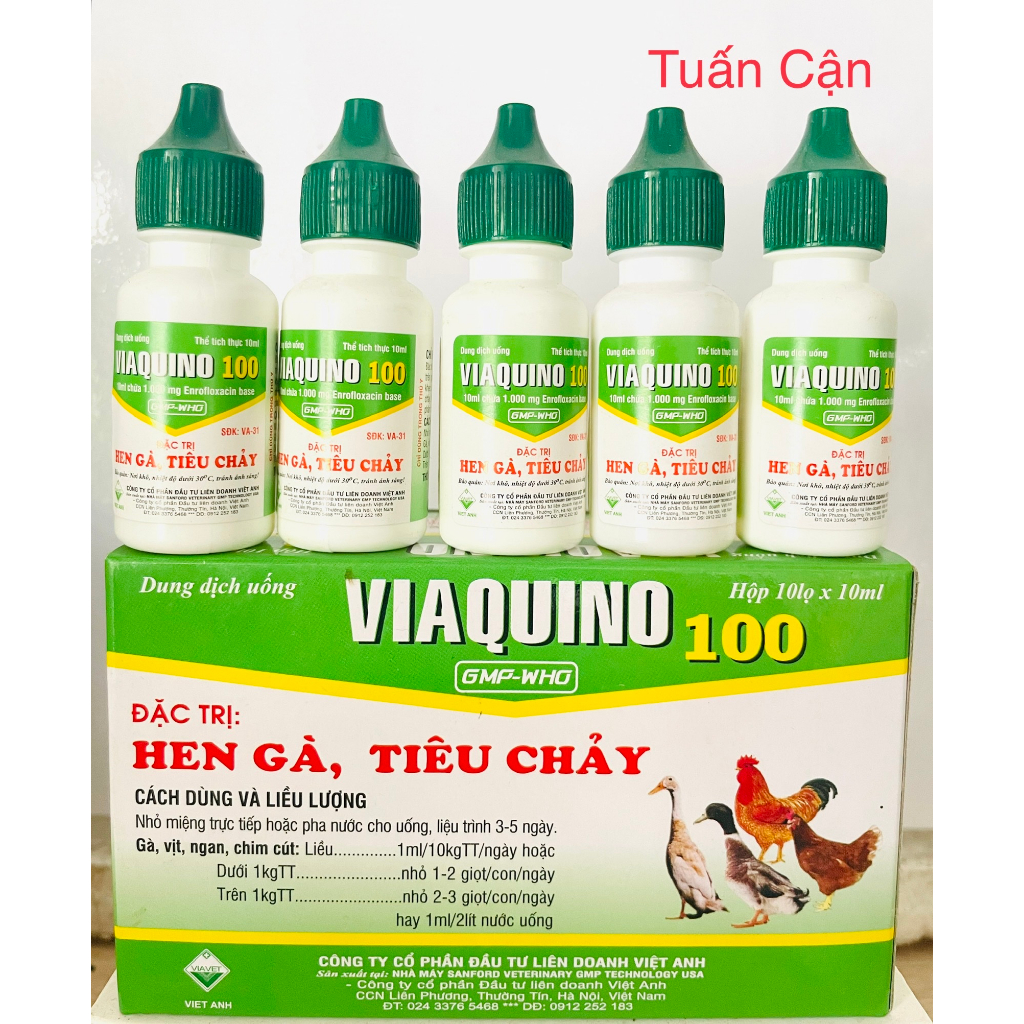 Combo 5lọ Viaquino Heen ga, tieu chay phan xanh, phan trắng