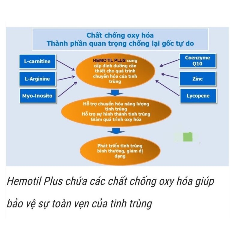 Hemotil Plus - Viên sủi hỗ trợ sinh sản nam giới tinh trùng yếu