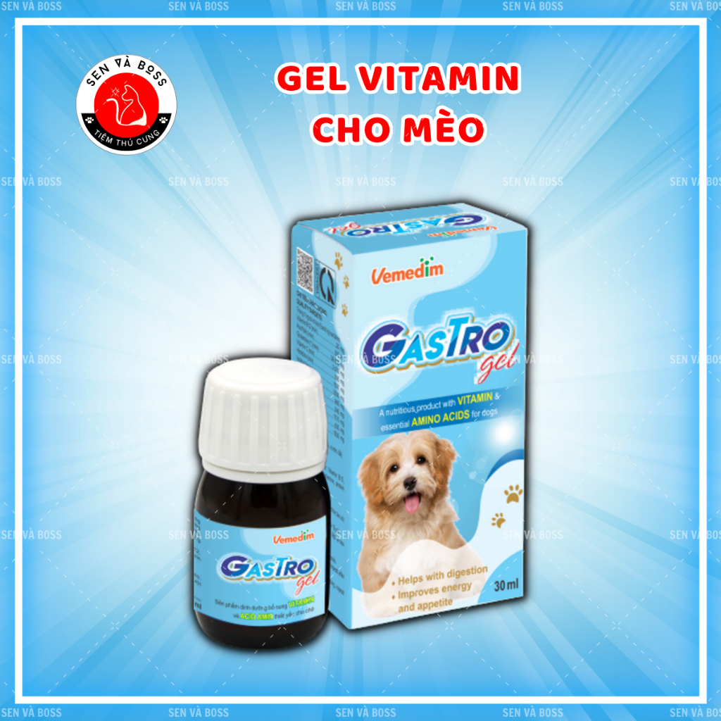 Gastro Gel - Siro thèm ăn ngon cho chó mèo bổ sung vitamin dễ tiêu hóa tăng cân Vemedim - 30ml