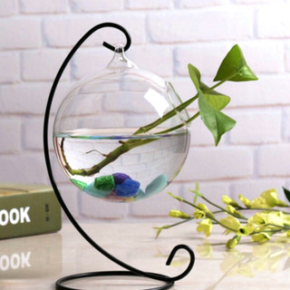 Bể cá mini treo chữ C để bàn