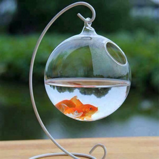 Bể cá mini treo chữ C để bàn