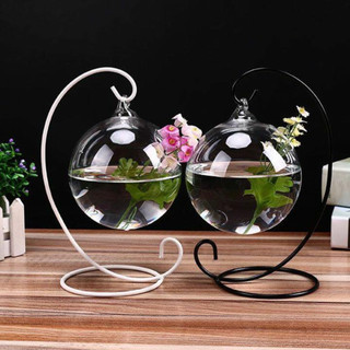 Bể cá mini treo chữ C để bàn