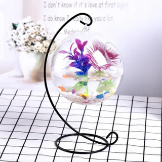 Bể cá mini treo chữ C để bàn