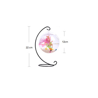 Bể cá mini treo chữ C để bàn