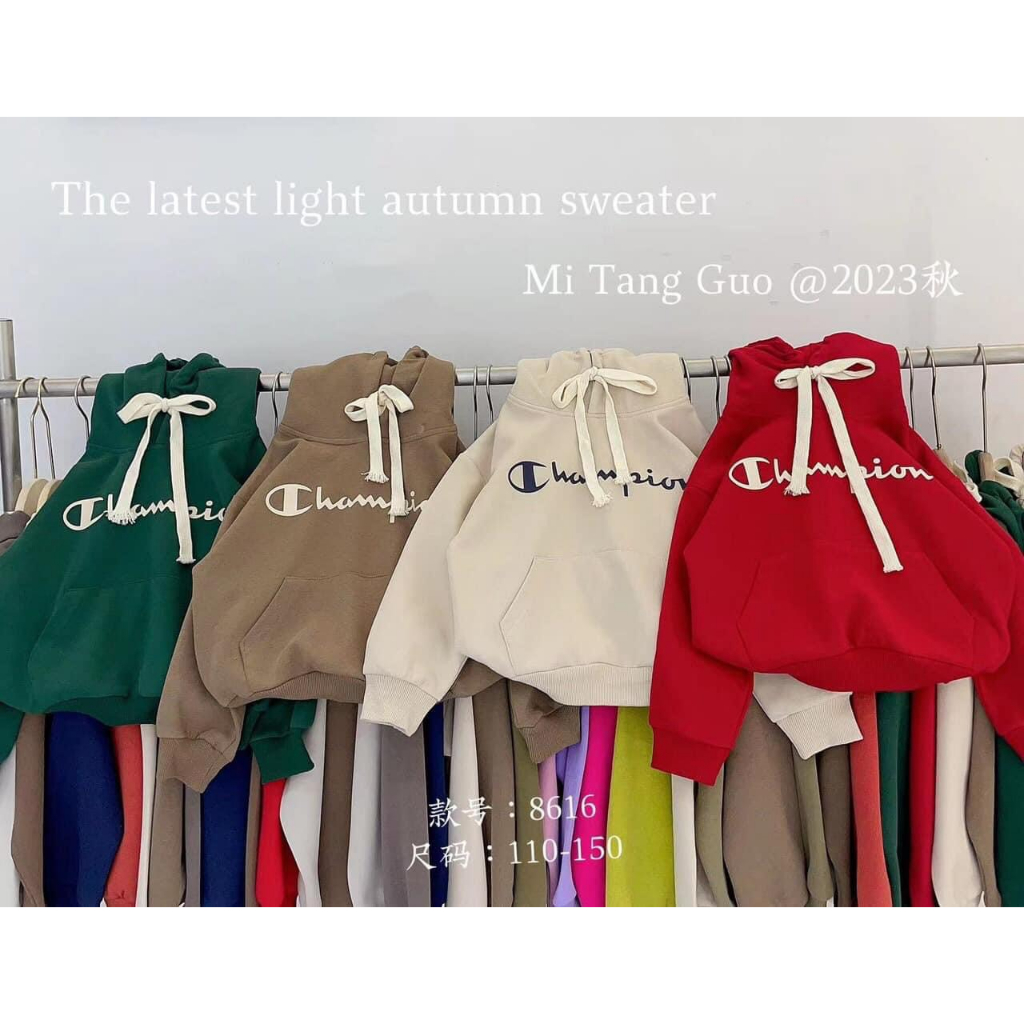 Áo nỉ hoodie mùa đông cho bé trai phương kid
