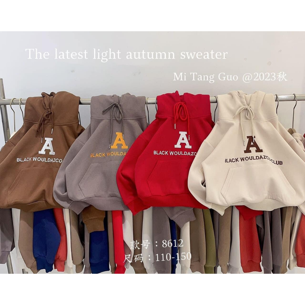 Áo nỉ hoodie mùa đông cho bé trai phương kid