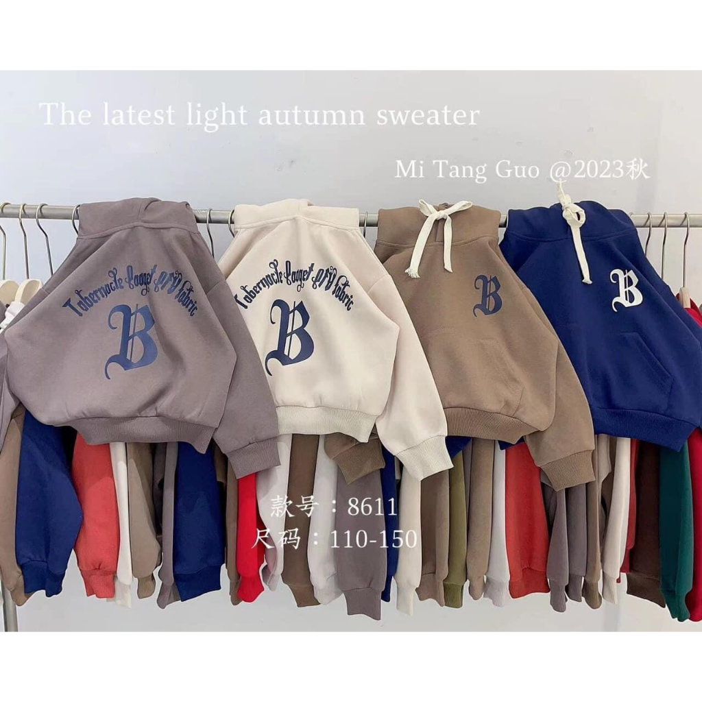 Áo nỉ hoodie mùa đông cho bé trai phương kid
