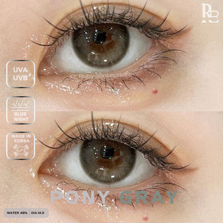 Kính Áp Tròng RUBYEYES Sillicone Hydrogel Màu Xám Pony Gray, Lens Mắt Màu Xám Trà + Tặng Khay BST BEARLENS