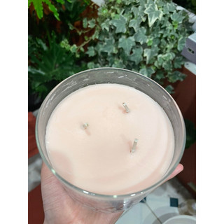 Nến thơm Bath & Body Works - Mùi Crushed Candy Cane - [3 bấc / 411g]
