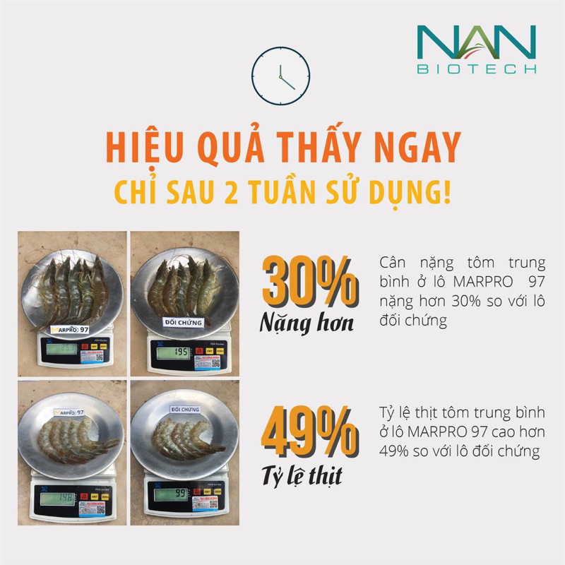 Đạm cá hồi thuỷ phân MarPro 97, siêu tăng trọng tôm, cá, chứa Peptide hoạt tính sinh học