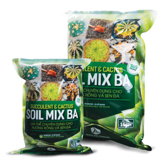 Soil Mix - Đất trồng sen đá trộn sẵn từ các loại đá khoáng