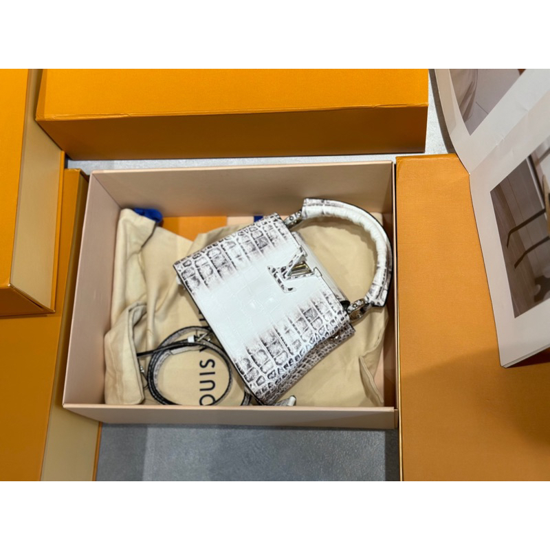 Túi xách Túi xách Louis Vuitton Capucines Himalaya MINI size 21cm fullbox vip nam châm W266-21