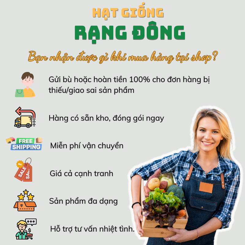 Hạt giống Sương Sâm Lông trồng quanh năm, lá dùng làm thạch  - Hạt giống Rạng Đông