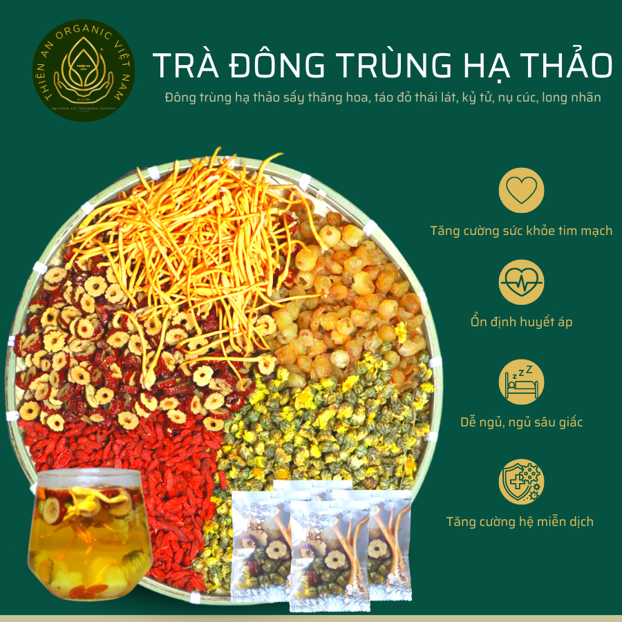 Trà Đông trùng hạ thảo Ngũ vị ổn định huyết áp tim mạch tăng cường sức khỏe