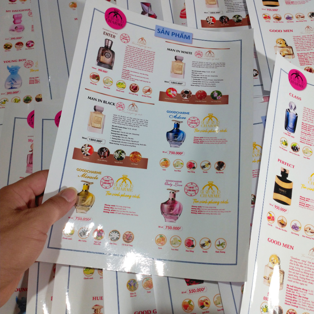 Sổ Catalogue GoodCharme - In màu cán bóng