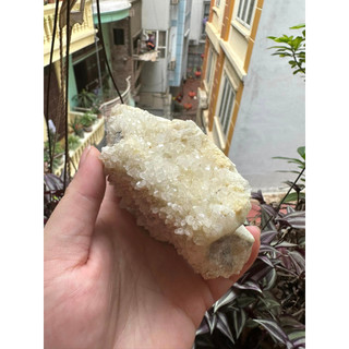 Cụm tinh thể 100k