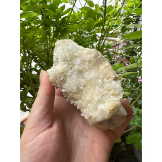 Cụm tinh thể 100k