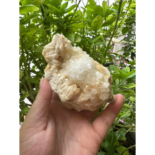 Cụm tinh thể 100k