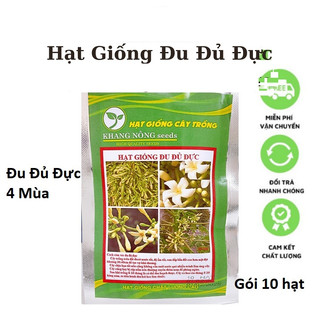 Hạt giống hoa đu đủ đực - đu đủ đực 4 mùa - gói 50 hạt