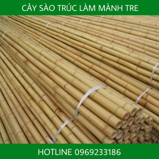 Cây trúc làm mành tre: 1m-1.5m- 1.8m. sỉ cây trúc công trình. cây trúc trang trí. cây trúc hàng rào.