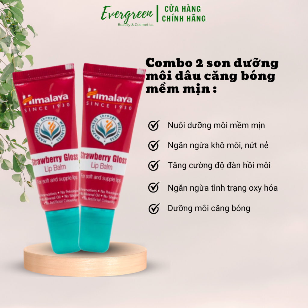 Combo 2 son dưỡng môi căng bóng vị dâu tây Himalaya Strawberry Gloss Lip Balm 10g - Evergreen