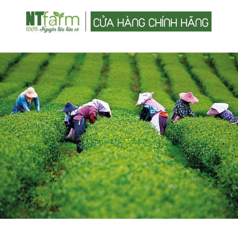 Bột Trà Xanh đắp mặt 1kg NTFARM hữu cơ nguyên chất