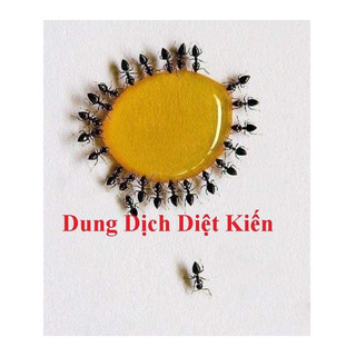 Thuốc diệt kiến diệt gián thần thánh