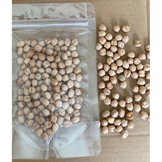 100g Đậu Gà hữu cơ
