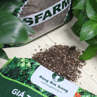 Túi 1kg Giá thể đất trồng cây kiểng lá Sfarm