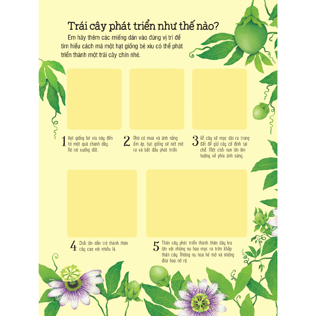 Sách dán hình đầu đời cho bé - First Sticker Book - Trái cây và rau củ