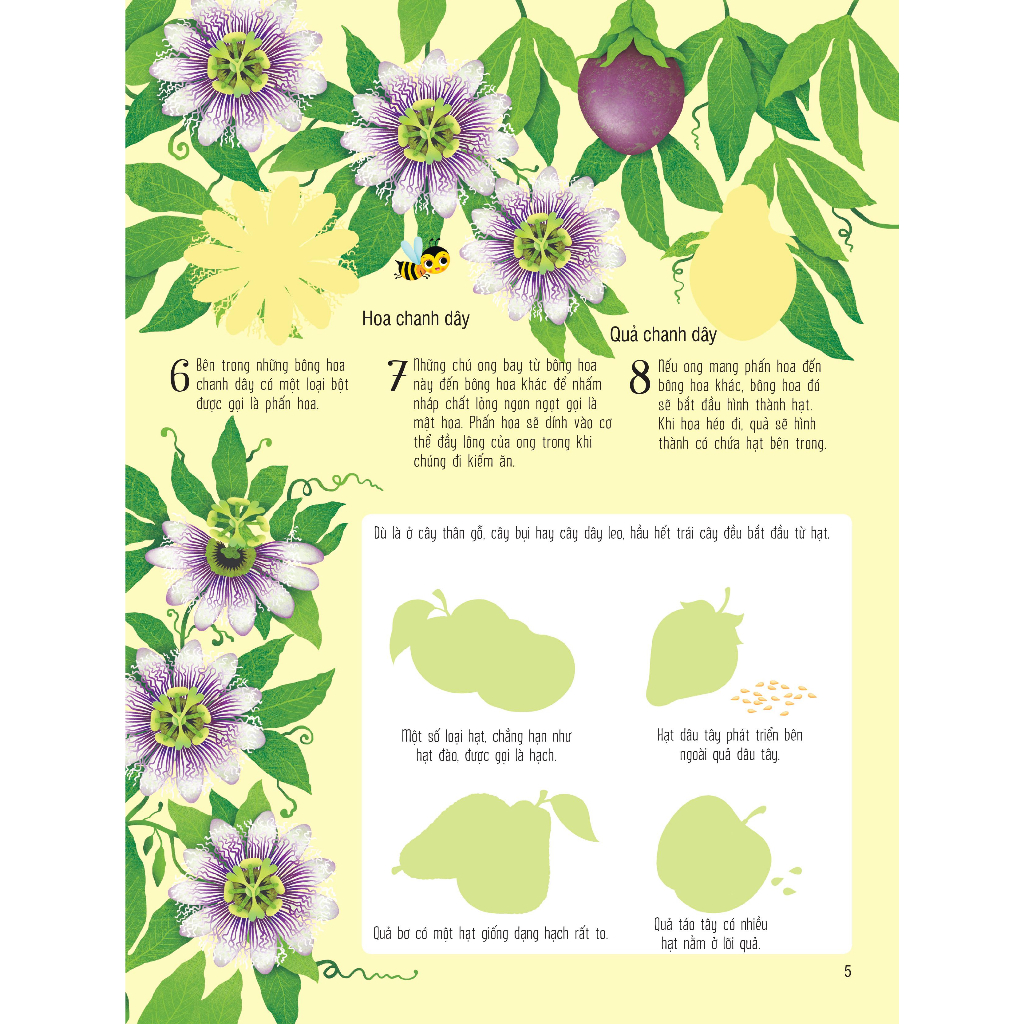 Sách dán hình đầu đời cho bé - First Sticker Book - Trái cây và rau củ